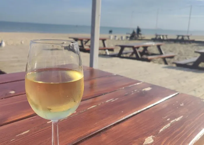 公寓 Lilia 格但斯克